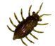 FishUp Maybug 1.3" (5pcs.), #045 - Green Pumpkin/Red & Black