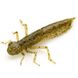 FishUp Dragonfly 1.2" (10шт), #074 - Green Pumpkin Seed