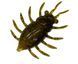 FishUp Maybug 1.3" (5pcs.), #074 - Green Pumpkin Seed