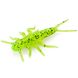 FishUp Stonefly 0.75" (12шт), #026 - Flo Chartreuse/Green