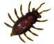 FishUp Maybug 1" (5pcs.), #019 - Motor Oil/Red