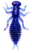 Perchik Beetle 1.5 col.25 / 12шт.уп