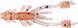 Reins Ring Shrimp 2 / 568 Fire Sugar / 12шт.уп