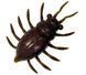 FishUp Maybug 1" (5pcs.), #050 - Green Pumpkin Brown/Red & Purple